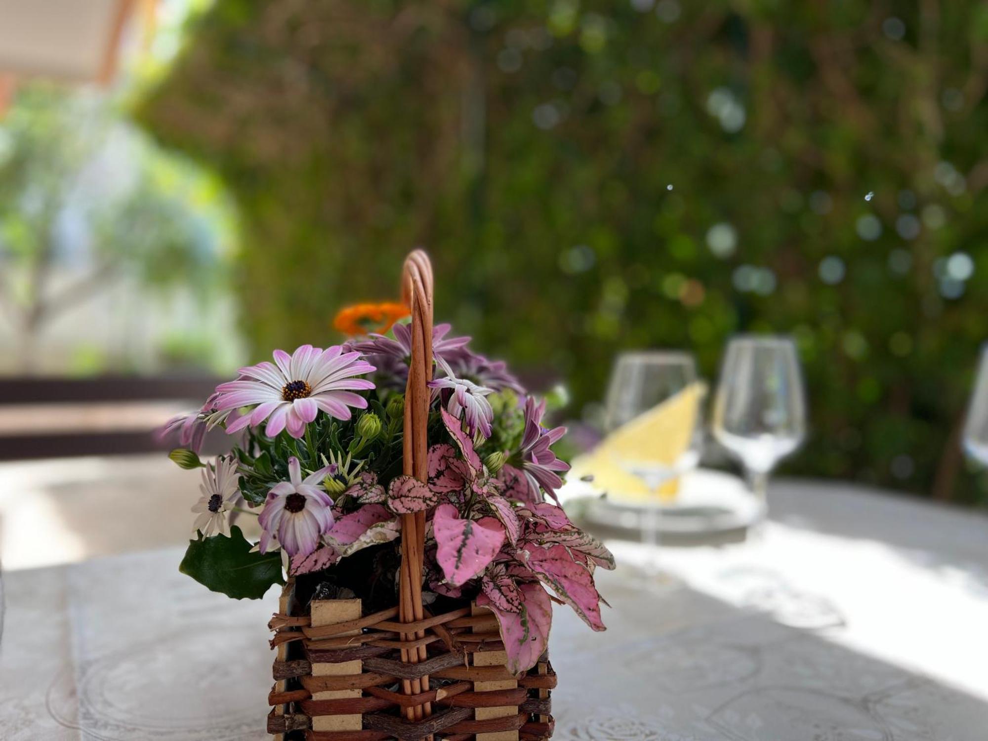 Apartman Ahmicic ซริกเวนิซา ภายนอก รูปภาพ
